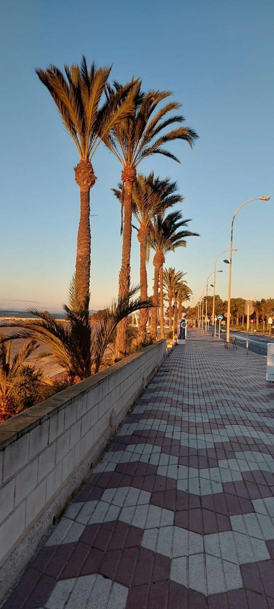 Apartmán La Casita Del Tio Santa Pola Exteriér fotografie